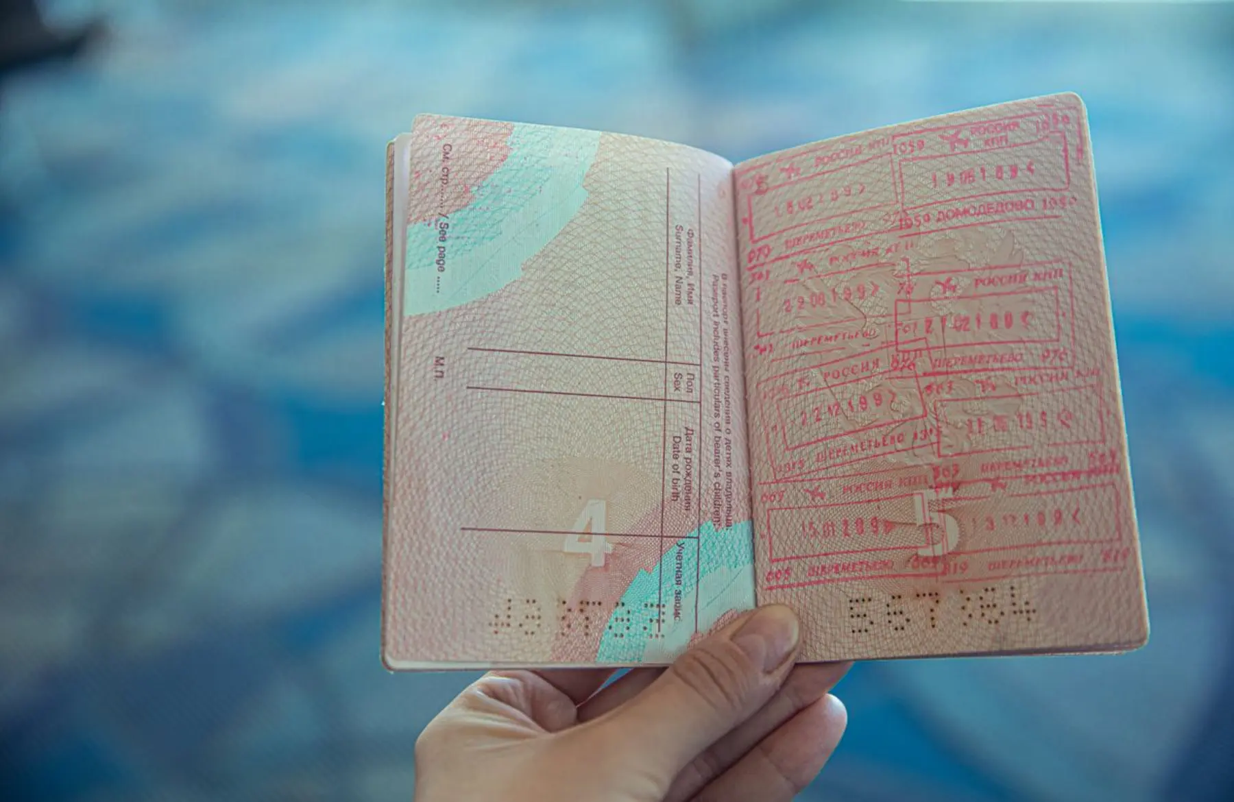 Migración habilita carné digital para extranjeros en Panamá: así puedes verlo desde tu celular
